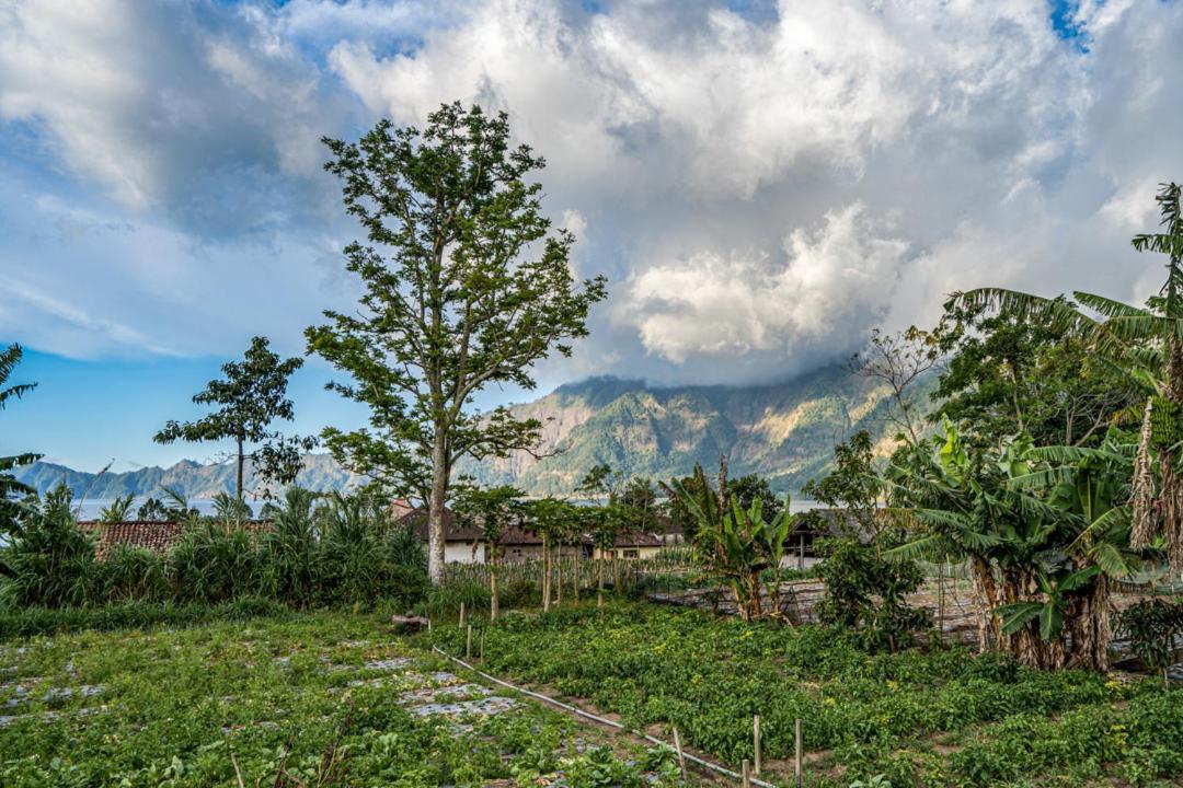 Pondok Manoka Kintamani Exterior foto
