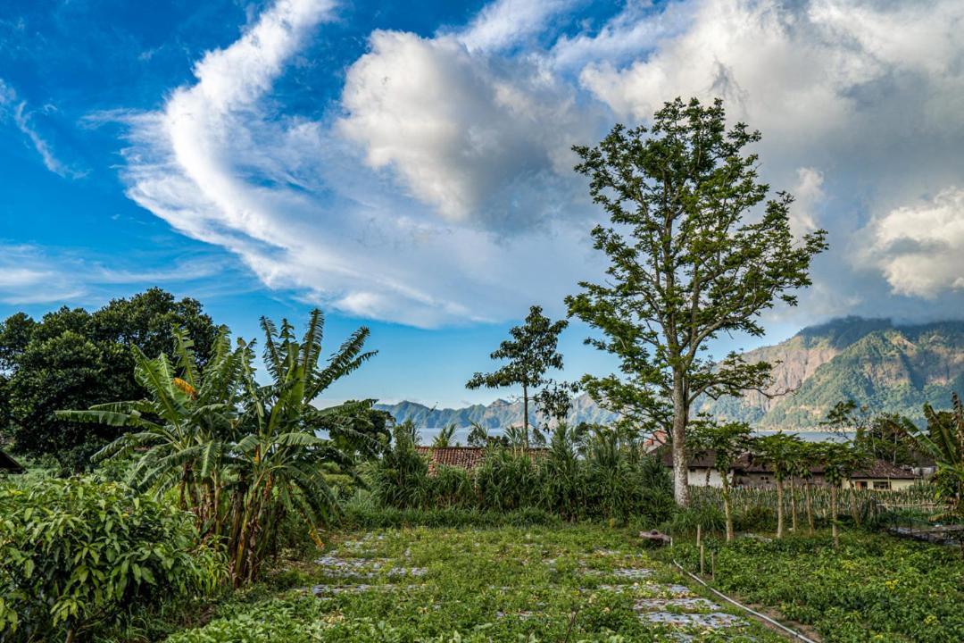 Pondok Manoka Kintamani Exterior foto